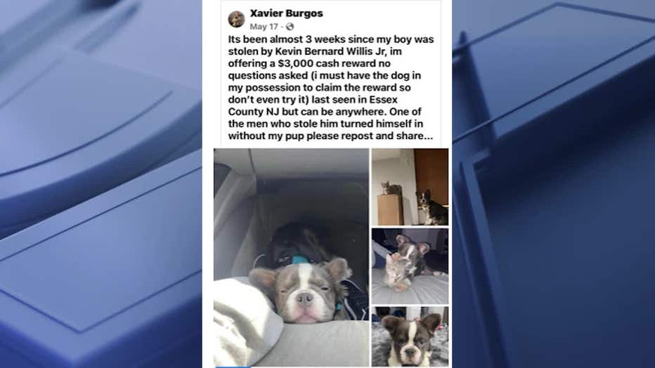 LS10-STOLEN-DOG_WNYW61c7_711_mxf_00.00.46.12.jpg