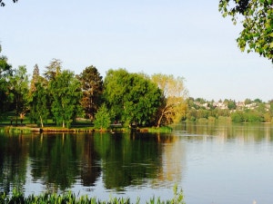 Staying out of Seattle's Green Lake: Toxic algae found in water
