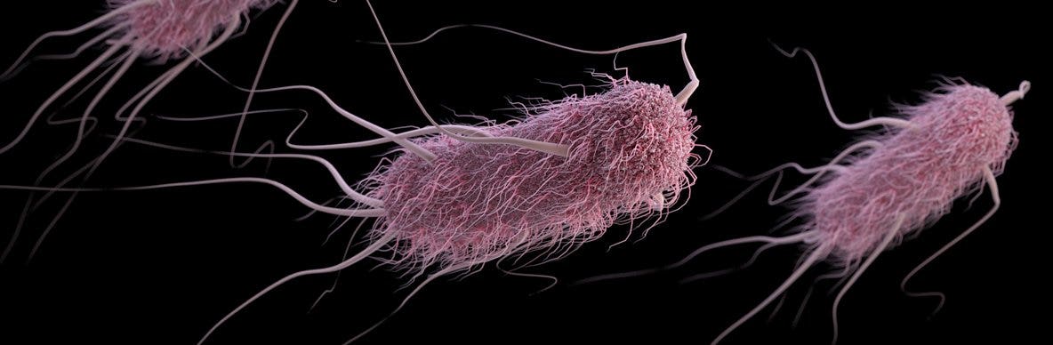 4 hospitalized after E. coli outbreak linked to Bellevue, WA restaurant