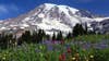 Mount Rainier introducing timed entry reservations starting in 2024, sign ups start Feb. 21