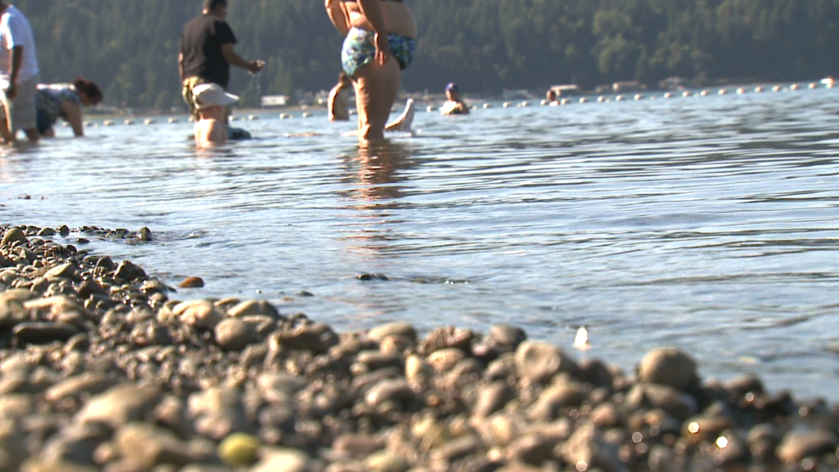 8-year-old drowns at Federal Way, WA's Steel Lake Park