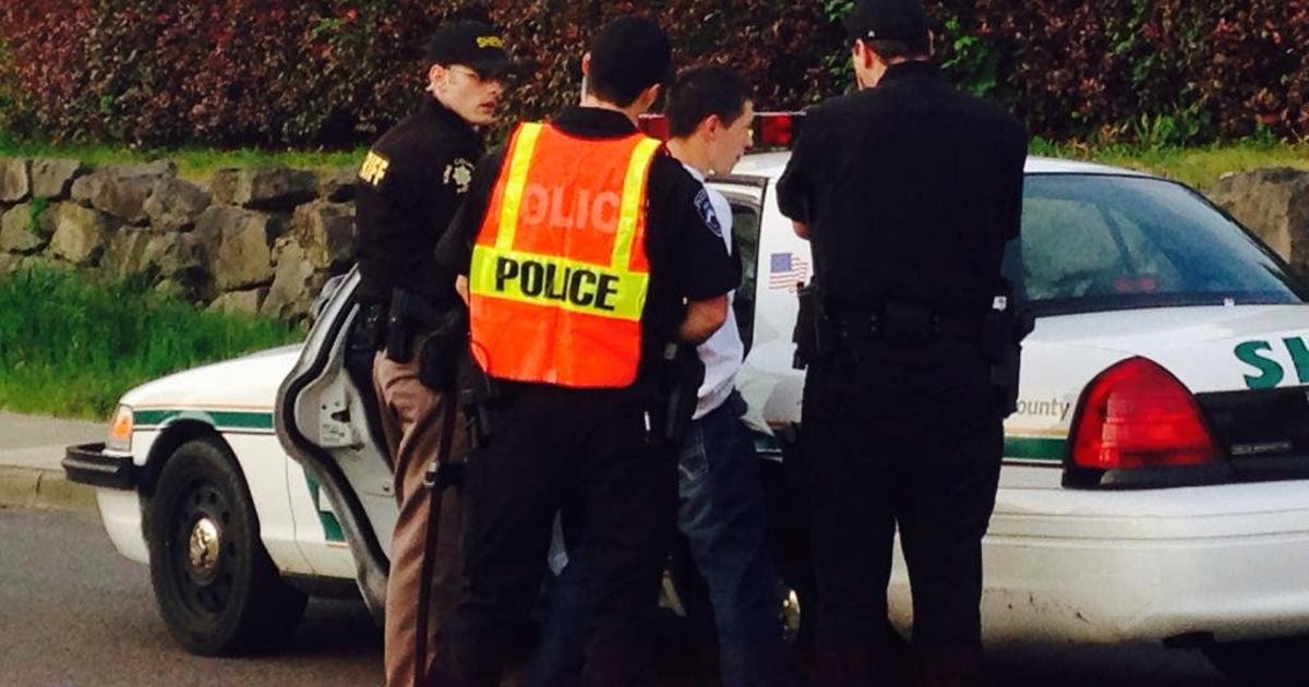 Police: Man steals car with woman still inside, leads cops on chase ...