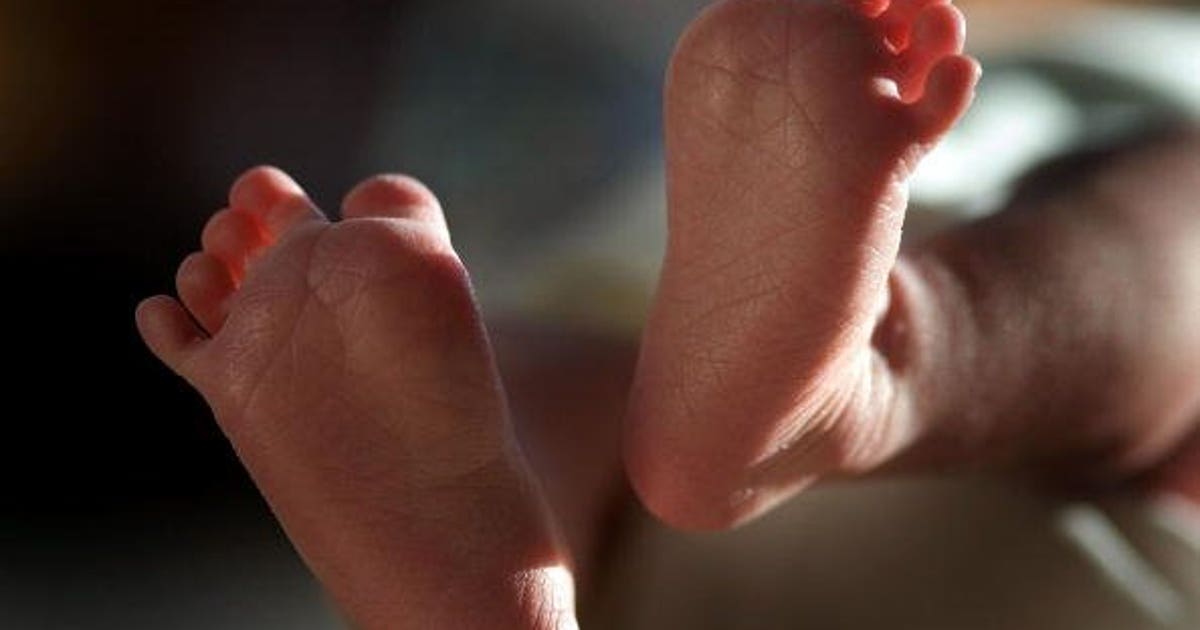 Neighbors find newborn in garbage, mother being questioned | FOX 13 Seattle