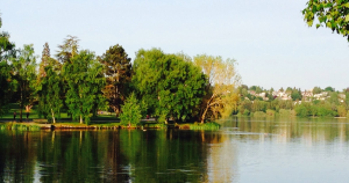 Staying out of Seattle's Green Lake: Toxic algae found in water
