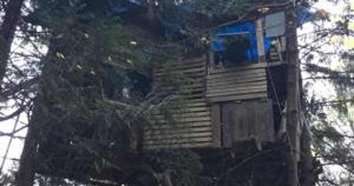 Housing, homelessness and addiction drive one Everett man up a tree ...