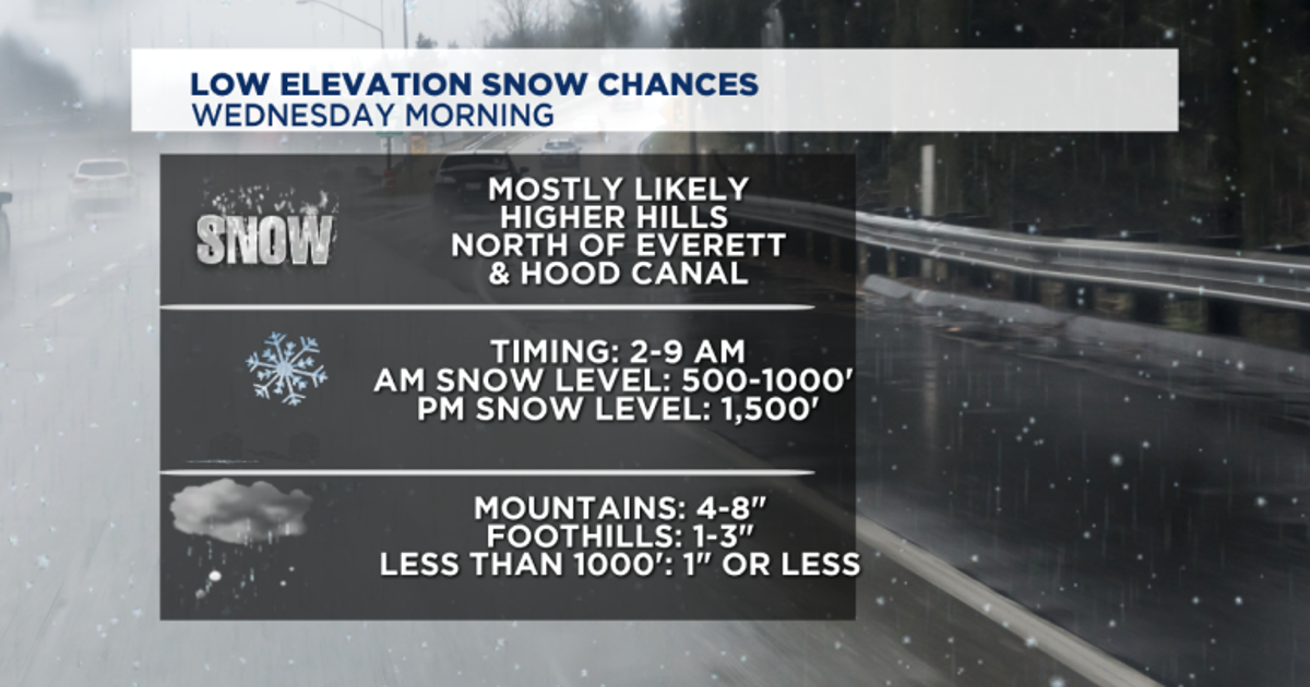 Lowland snow chances dissipate; cold rain expected Wednesday | FOX 13 ...