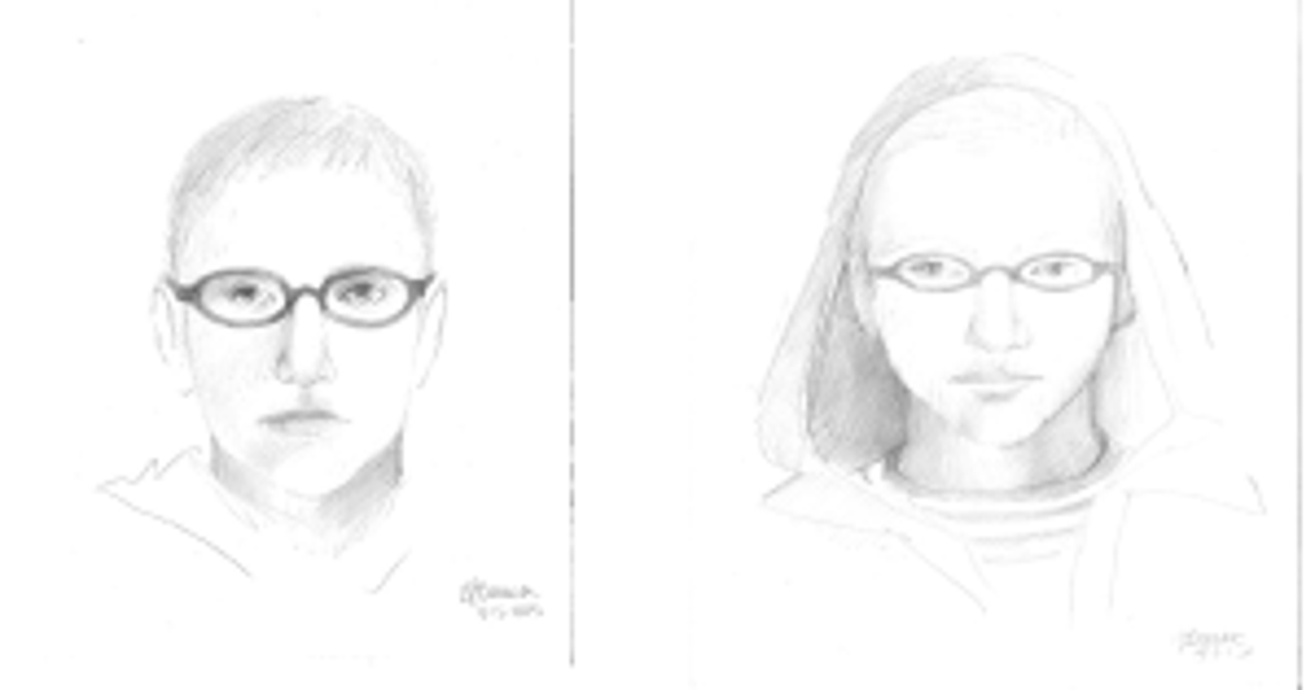 Police release sketch of attempted abductions, spraying suspect | FOX ...