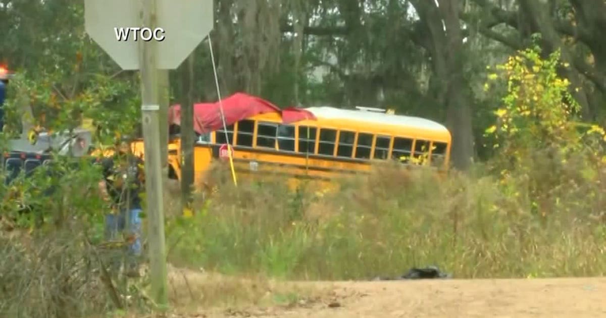 Girl, 5, dead after school bus crashes into tree in Georgia | FOX 13 ...