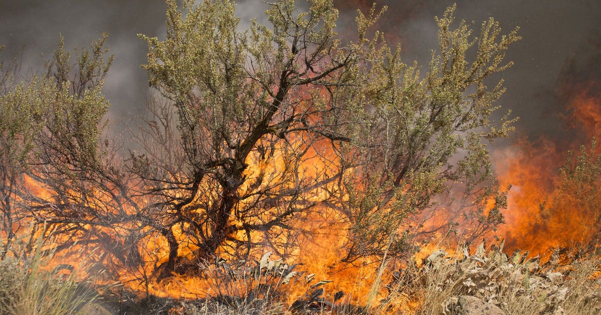 Warmer temps stoke massive Carlton Complex Fire | FOX 13 Seattle