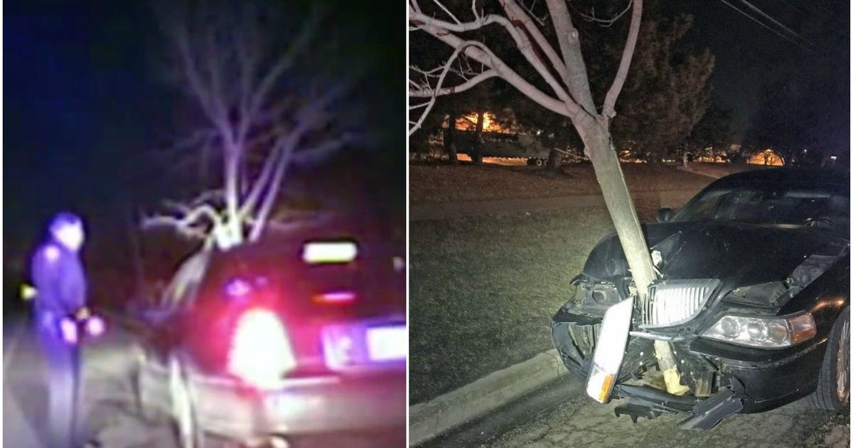 Woman arrested for DUI after driving with 15-foot tree stuck in grille ...