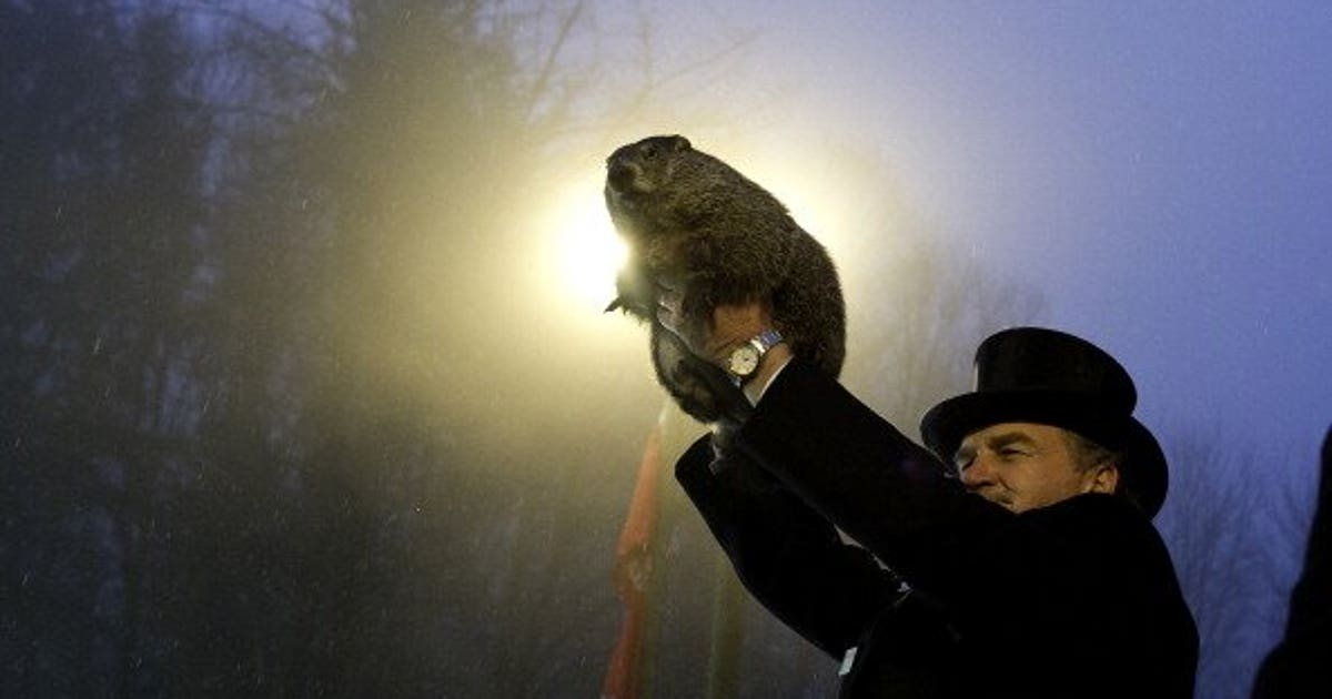What's the REAL story behind Groundhog Day? | FOX 13 Seattle