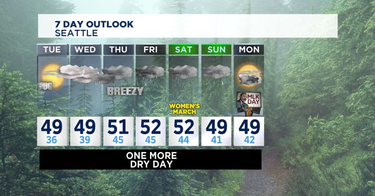 Rainy, breezy weather returns to Western Washington | FOX 13 Seattle