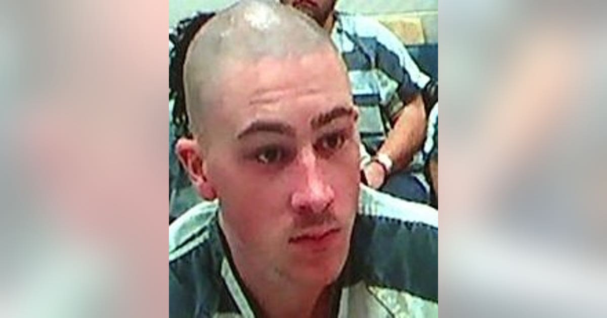 WMW's most prolific burglar and car thief caught after alert citizen ...