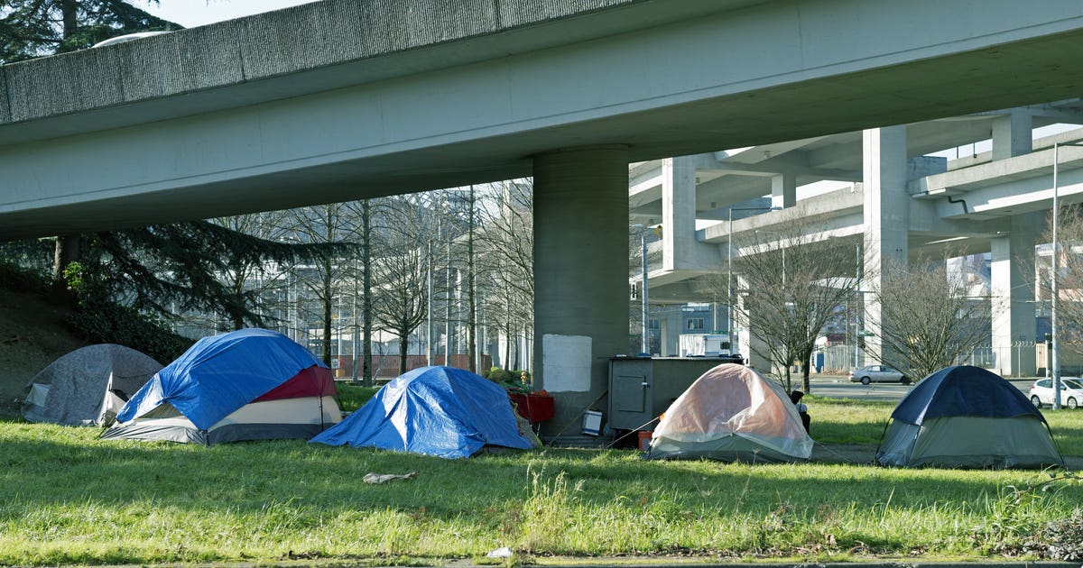 King County homeless numbers drop for the first time in years | FOX 13 ...