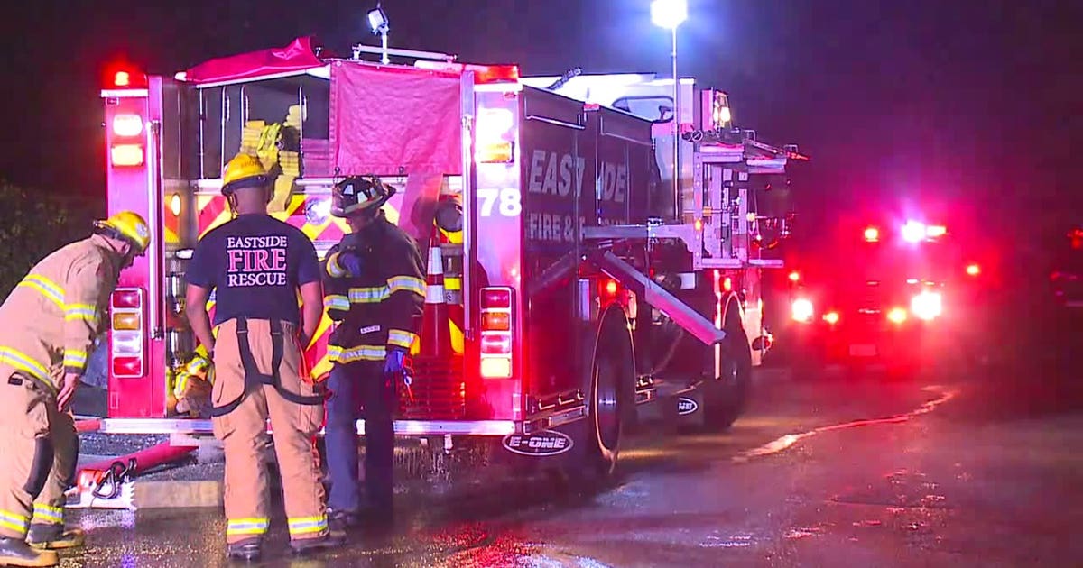 4 dogs die in Renton area house fire | FOX 13 Seattle