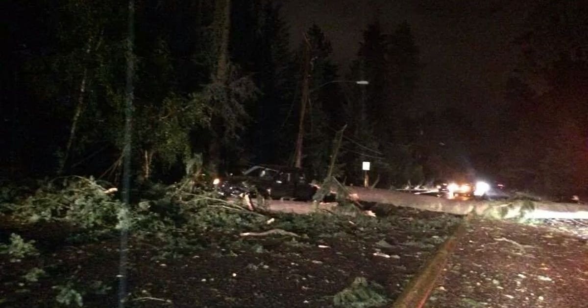 PHOTOS: High winds cause power outages, knock down trees | FOX 13 Seattle