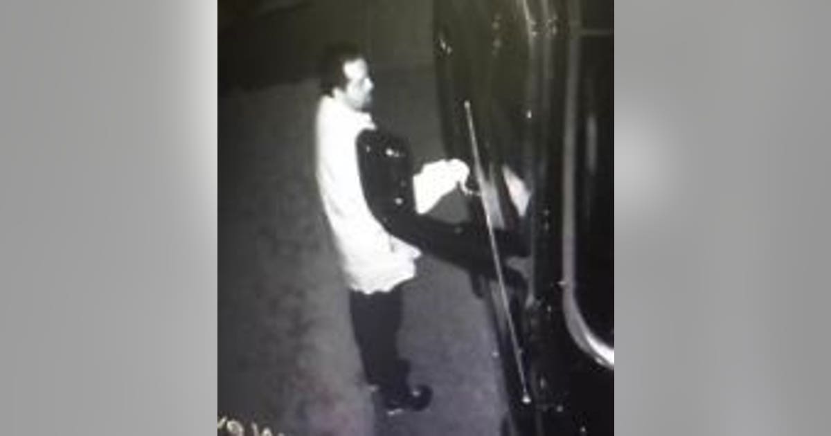 Lacey Police searching for car prowl suspect | FOX 13 Seattle