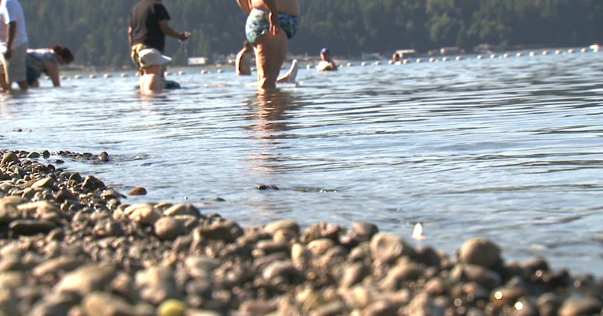 8-year-old drowns at Federal Way's Steel Lake Park
