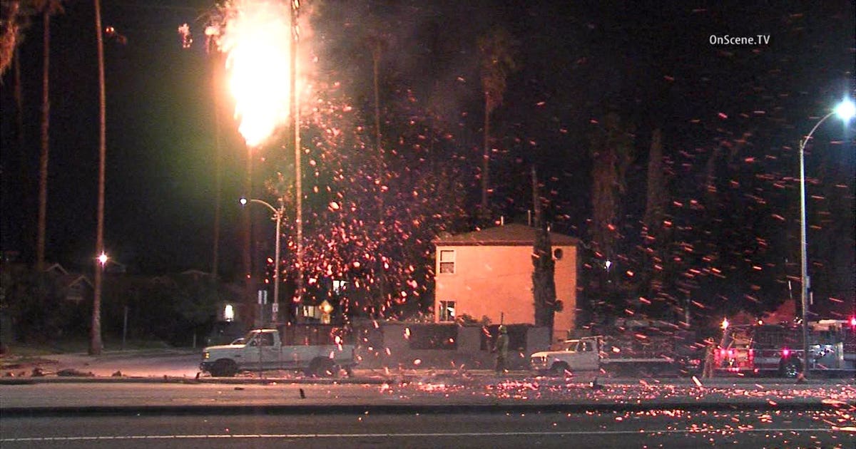 SEE IT: This is what it looks like when a palm tree catches fire in a ...