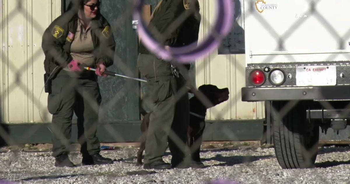 Family dog attacks, kills 5-year-old California boy | FOX 13 Seattle