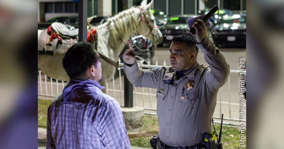 Man goes for drunken horseback ride on California freeway, gets ...