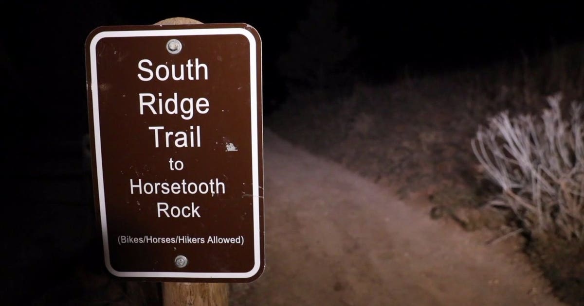 Runner kills mountain lion that attacked him on trail | FOX 13 Seattle