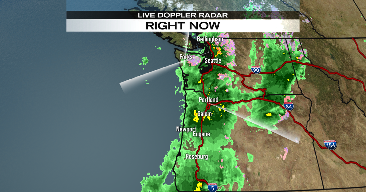 Winter storm slams the NW | FOX 13 Seattle