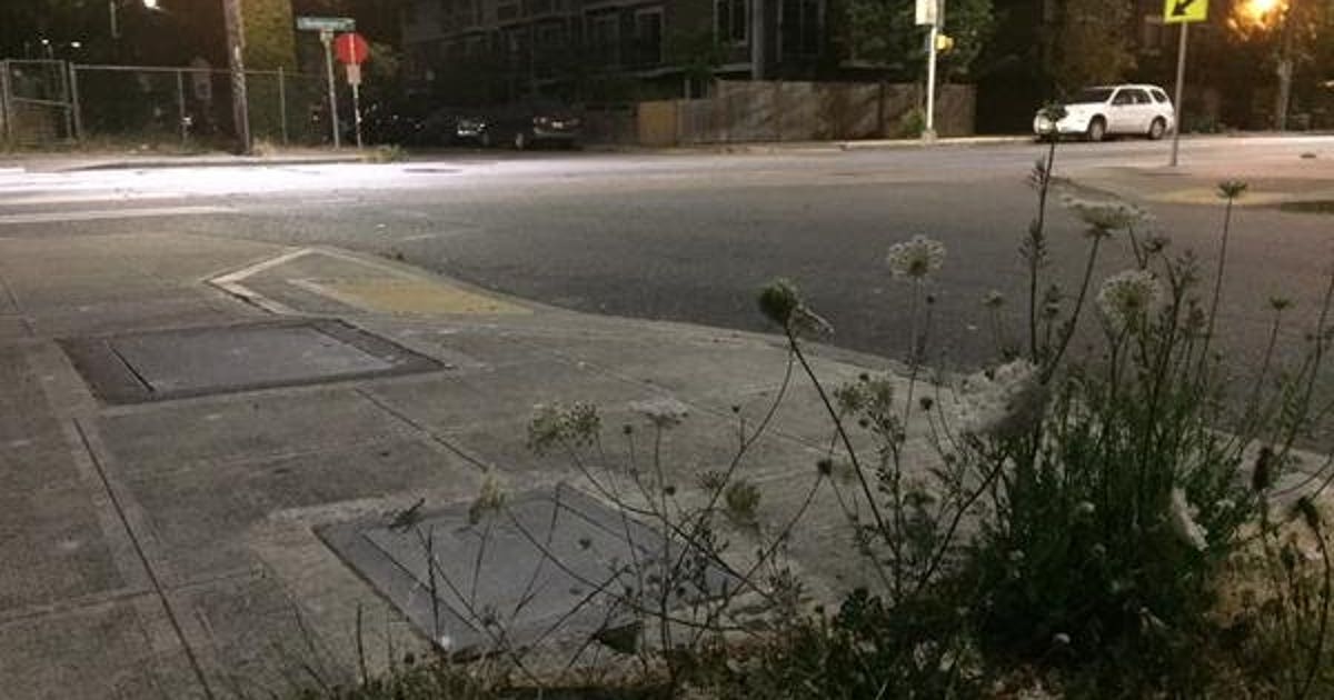 Police: Man shot multiple times in South Seattle | FOX 13 Seattle