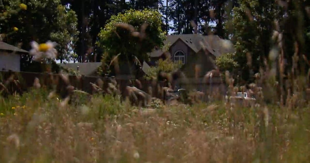 Wildfire danger unusually high for Western Washington | FOX 13 Seattle