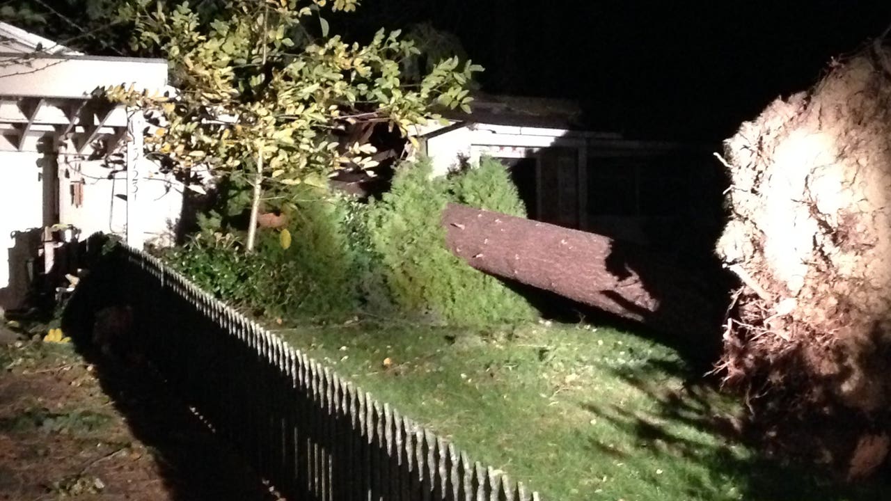 Strong Winds Topple Trees; Knock Power Out To Tens Of Thousands