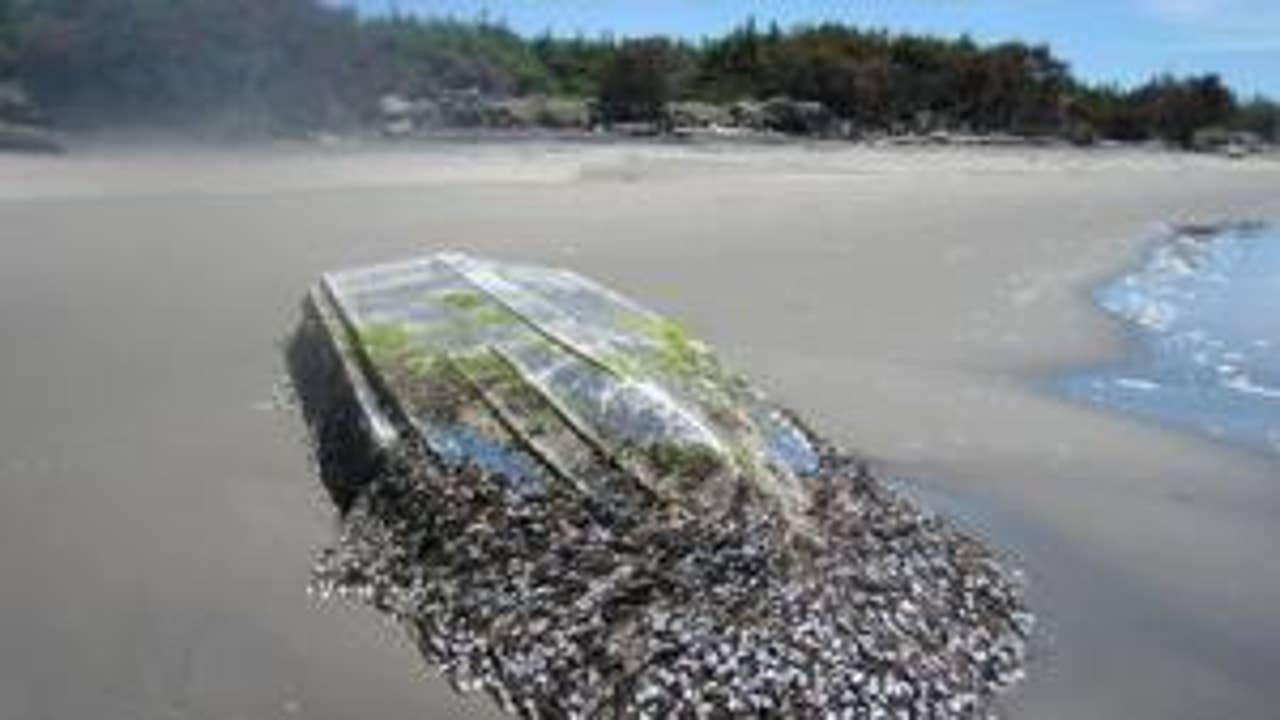 Boat believed to be Japanese tsunami debris washes ashore in