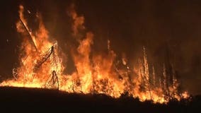 Brush fires surging in Seattle's dried up areas