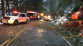 Child dead, 4 injured when tree falls on SUV near Lake Crescent
