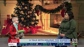 Local 'Toy Experts' reveal the season's hottest toys