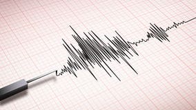 Newly-launched 'MyShake' app alerts users to incoming earthquakes