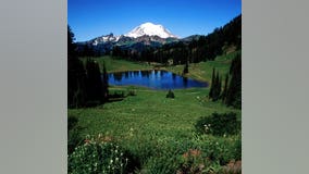 Washington Senator proposes legislation to restore native plants at National Parks