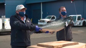 Copper River salmon arrive in the PNW, and frontline workers get the first taste