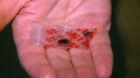 Snohomish Co. holds forum to try to find ways to end heroin epidemic