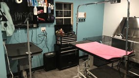 Small Business Sunday: Pauly's Paw Spa in Port Orchard