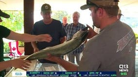 Bellingham fishing derby forced to evolve with increasing shortage of salmon