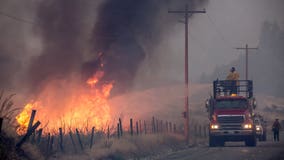 PSE could shut off power lines in WA areas with high wildfire risk