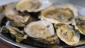 Woman dies from flesh-eating bacteria after eating raw oysters