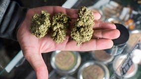Court upholds Washington's residency requirement for pot industry