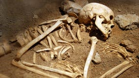 500-year-old skeletons sought by 3 Native American tribes