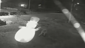 'Grinch' stabs Frosty the Snowman in St. Louis 'hit' caught on camera