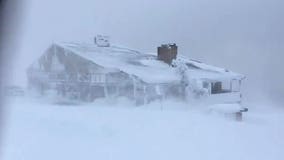 'It is like being sandblasted!' Blizzard shuts down Hurricane Ridge