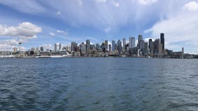 Saving our salmon: Searching for answers in the depths of Puget Sound