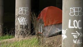 Hawaii bill would classify homelessness as medical condition