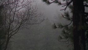 Son’s body found in mangled car after father receives GPS crash alert