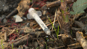 Washington, Oregon drug laws have not led to more fatal overdoses, study finds